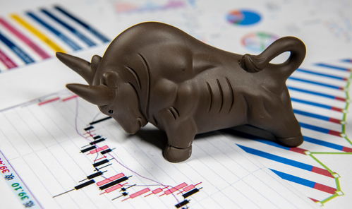 新宝股份（002705） 国内家电龙头，蕴藏10倍增长潜力的下一站